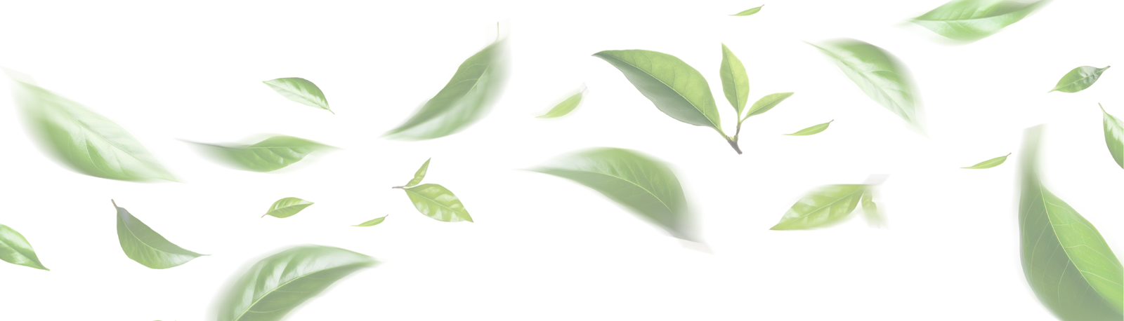 1920 x 550 px-1